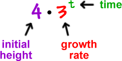 4 * 3^( t ) ... the 4 is the initial height ... the 3 is the growth rate ... the t is the time