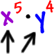 (x^5)(y^4)