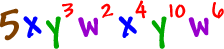 5x(y^3)(w^2)(x^4)(y^10)(w^6)
