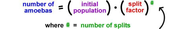 number of amoebas = ( initial population ) * ( split factor )^( # ) ... where # = number of splits