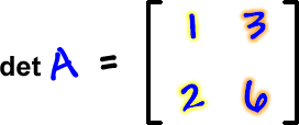 det A = [ row 1: 1 , 3  row 2: 2 , 6 ]