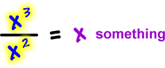 x^3 / x^2  =  x something
