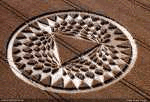 crop circle photo