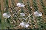 crop circle photo