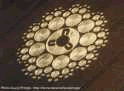 crop circle photo