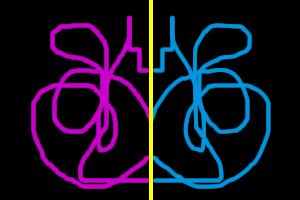 a symmetric image